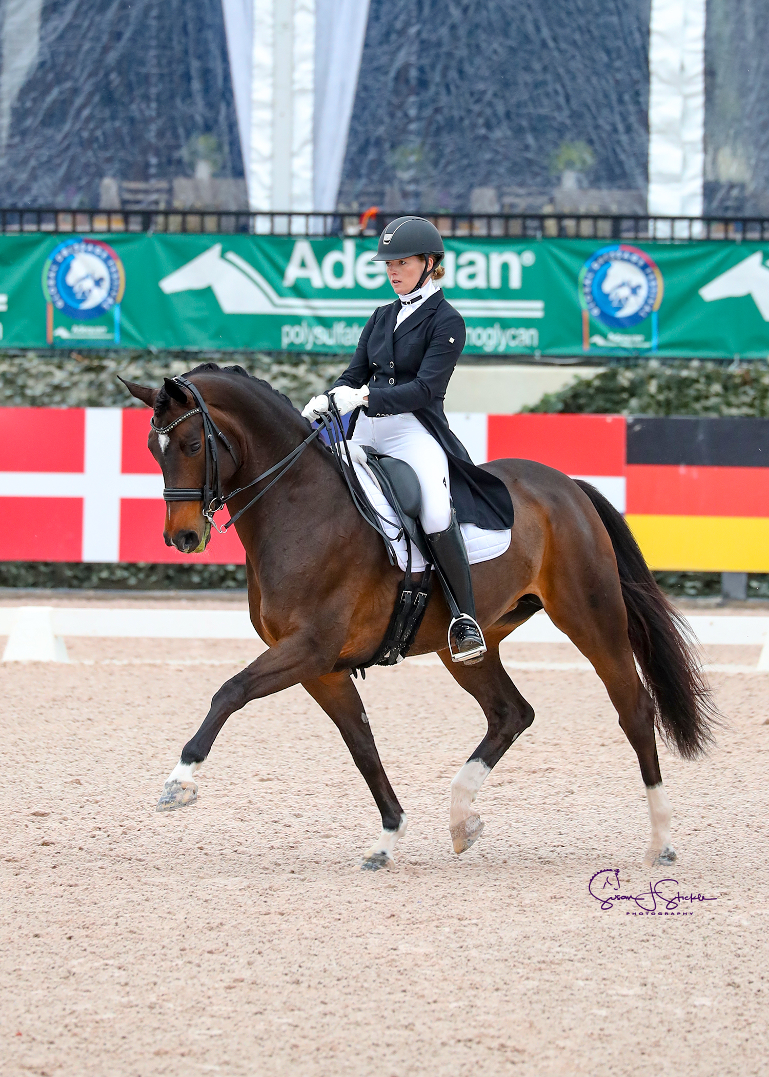High Scores Reward Hard Work as Canadian Dressage Athletes Kick Off Winter Circuit in Wellington
